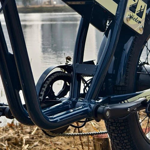 QIOLOR Tiger Moped-Style Electric Bike