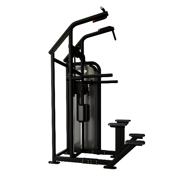 NAUTILUS NA SSS DIP MACHINE Total Body Experts