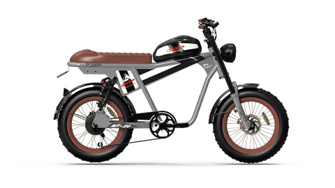 QIOLOR Tiger Plus Full Suspension Fat Tire E-Bike