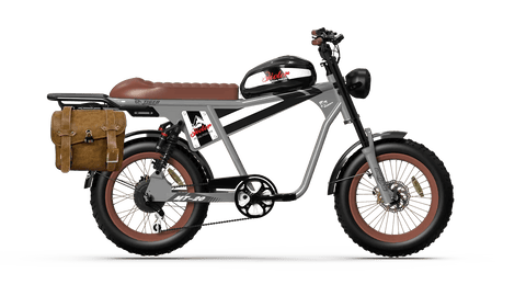 QIOLOR Tiger Plus Full Suspension Fat Tire E-Bike