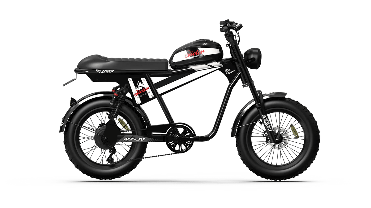 QIOLOR Tiger Plus Full Suspension Fat Tire E-Bike