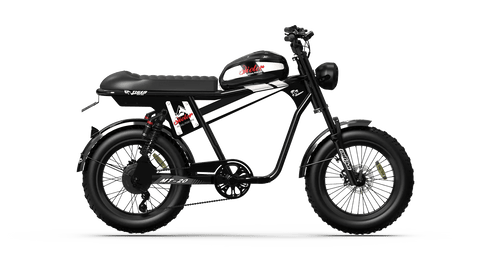 QIOLOR Tiger Plus Full Suspension Fat Tire E-Bike