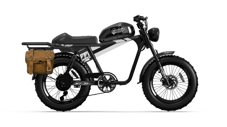 QIOLOR Tiger Long Range Moped-Style E-Bike