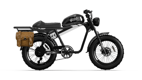 QIOLOR Tiger Moped-Style Electric Bike