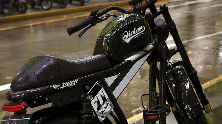 QIOLOR Tiger Long Range Moped-Style E-Bike