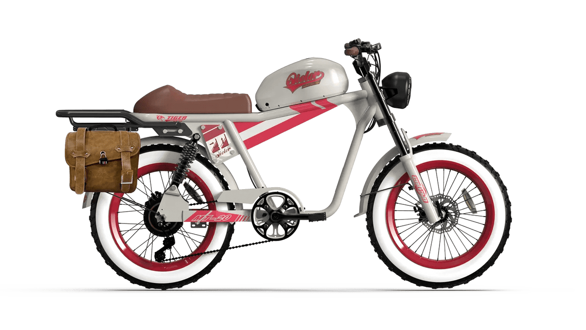 QIOLOR Tiger Long Range Moped-Style E-Bike