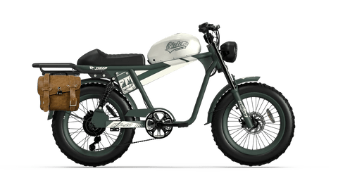 QIOLOR Tiger Moped-Style Electric Bike