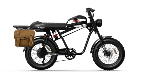 QIOLOR Tiger Plus Full Suspension Fat Tire E-Bike