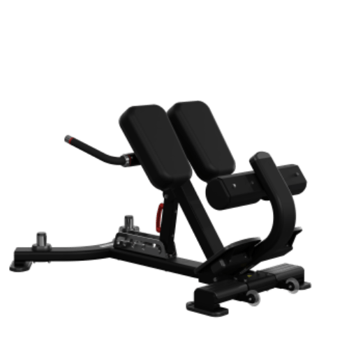 Nautilus Inspiration Adjustable Back Extension