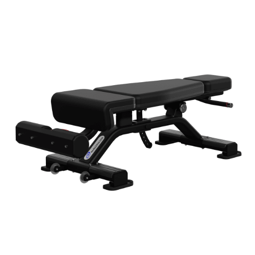 Nautilus Adjustable Decline Bench