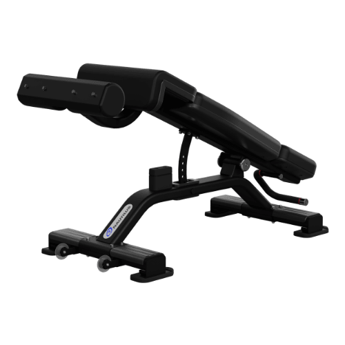 Nautilus Adjustable Decline Bench