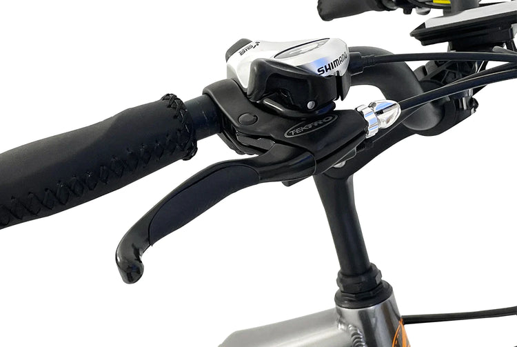 VTUVIA Giraffe Commuter E-Bike