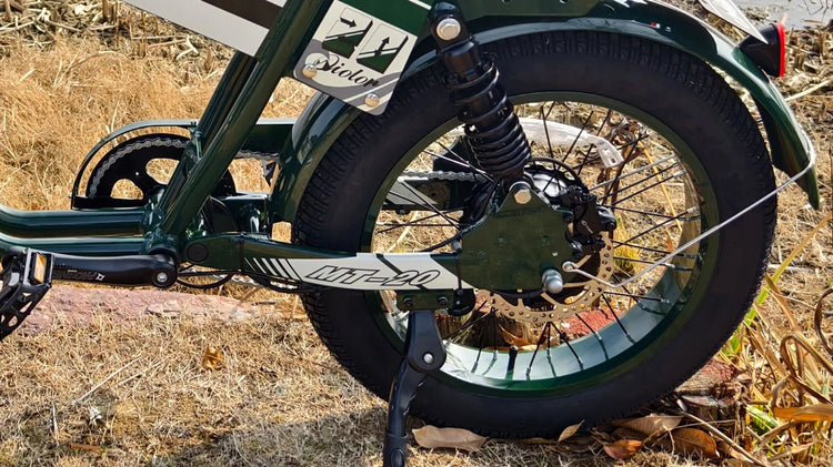 QIOLOR Tiger Long Range Moped-Style E-Bike