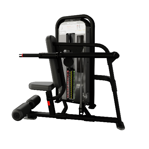 Nautilus Impact® Dip Machine