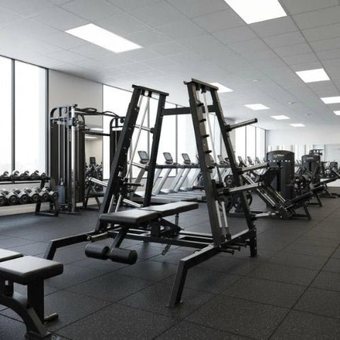 Muscle D Excel Convergent Flat/Incline/Decline Bench