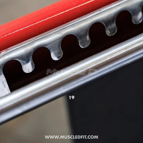 Muscle D Fitness Pro Strength Convertible / Orbital Linear Bearing Row