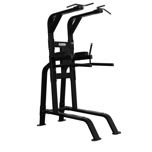 Nautilus Pull-Up/Dip/Leg Raise