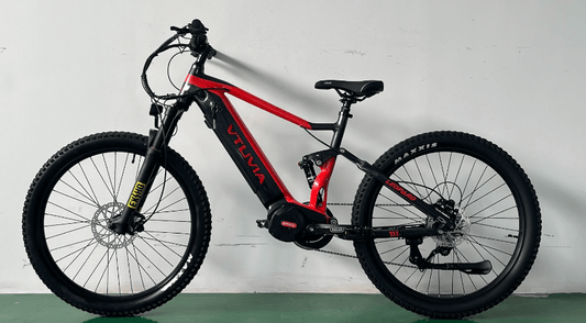 VTUVIA Leopard Commuter E-Bike