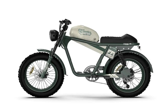 QIOLOR Tiger Long Range Moped-Style E-Bike