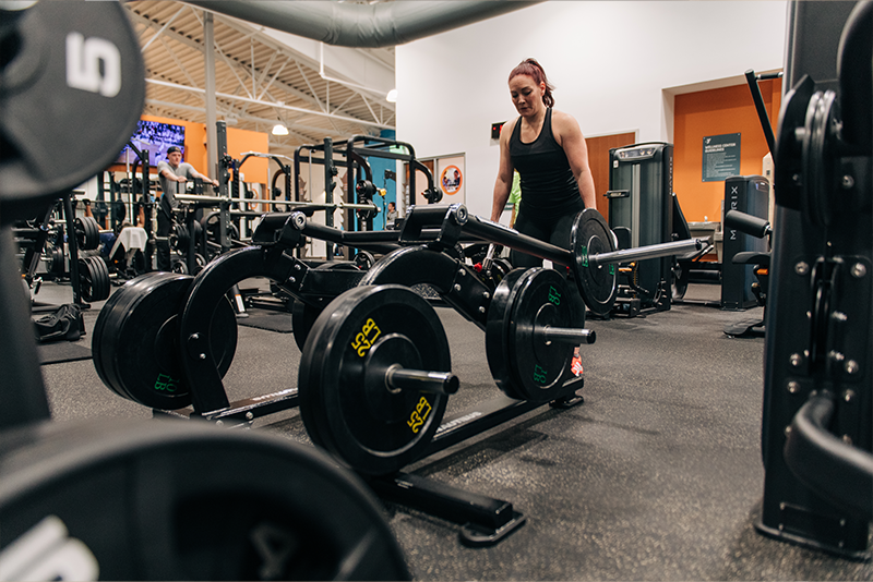 Equipment Curation