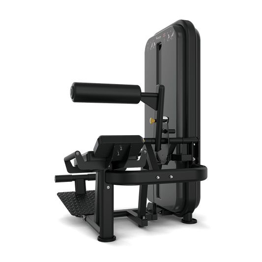 Vision Fitness Ab / Low Back