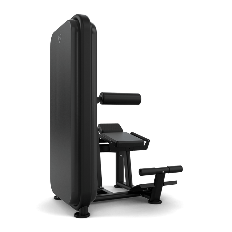 Vision Fitness Ab / Low Back