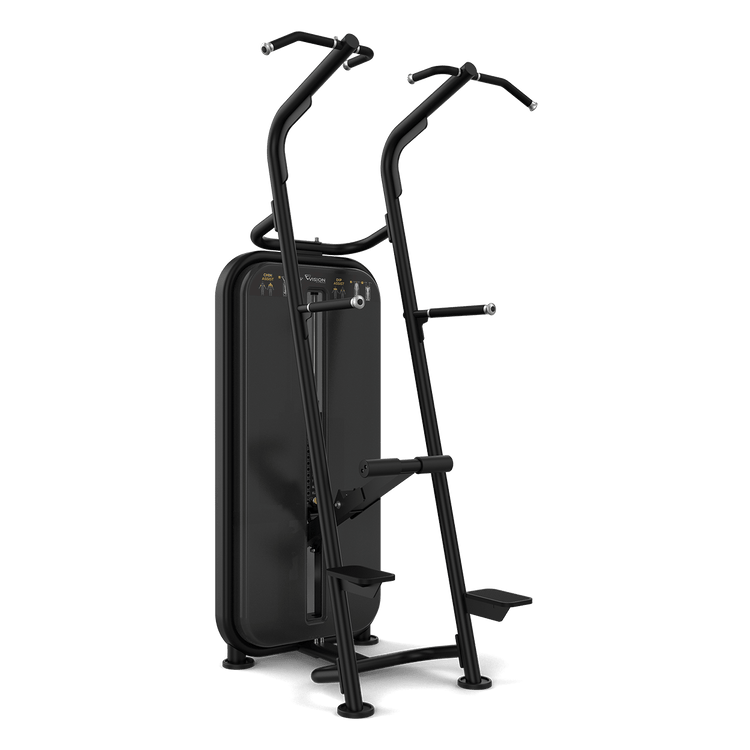 Vision Fitness Chin / Dip Assist