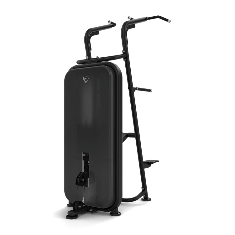 Vision Fitness Chin / Dip Assist