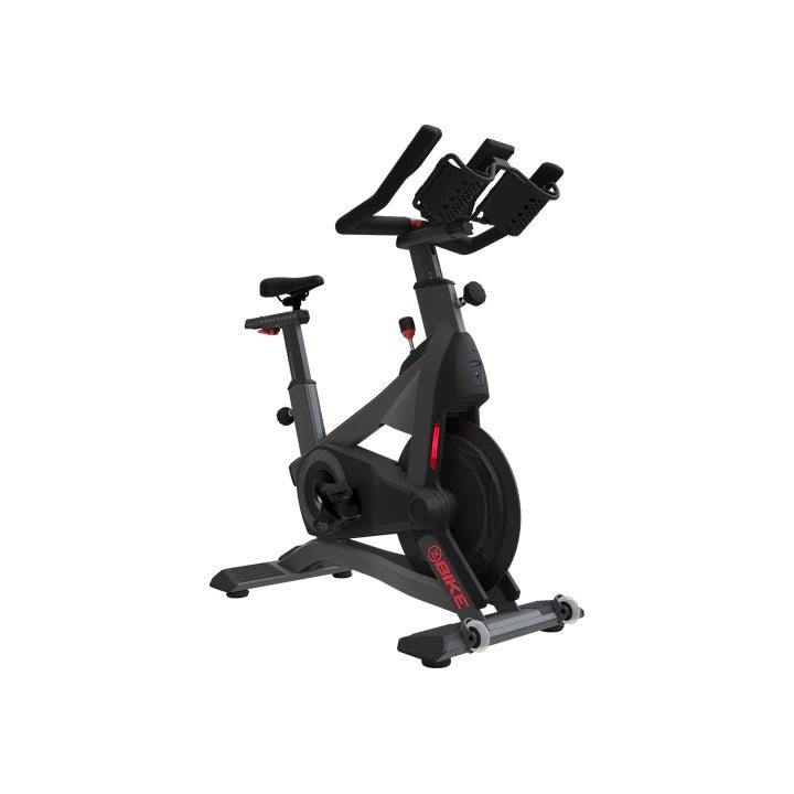 Schwinn Exercise Bikes Total Body Experts