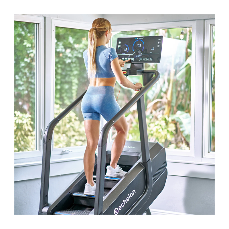 Echelon Summit Stairmill Home