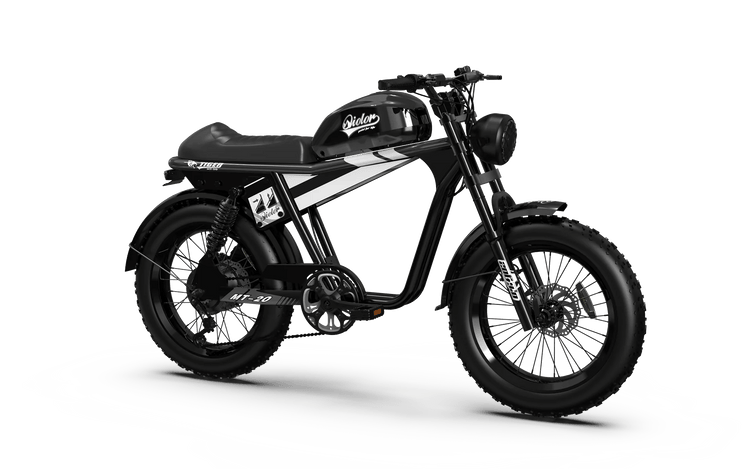 QIOLOR Tiger Long Range Moped-Style E-Bike