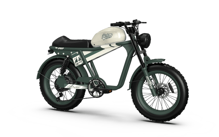 QIOLOR Tiger Long Range Moped-Style E-Bike