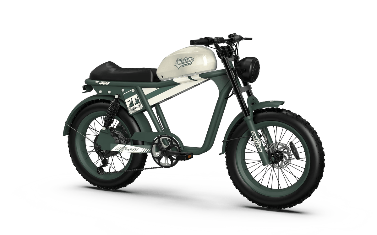 QIOLOR Tiger Long Range Moped-Style E-Bike