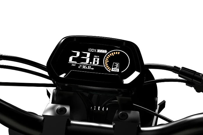 QIOLOR Tiger Long Range Moped-Style E-Bike