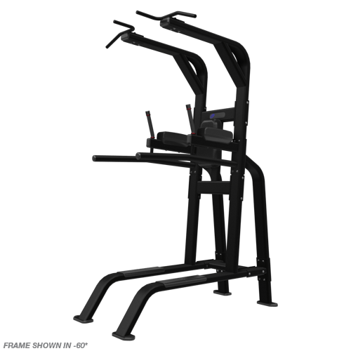 Nautilus Pull Up / Dip / Leg Raise