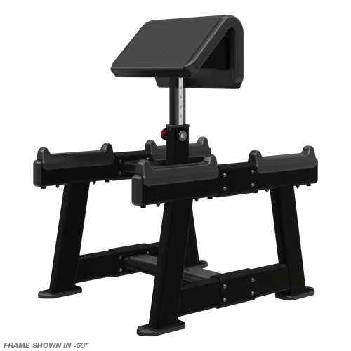 Nautilus Standing Preacher Curl