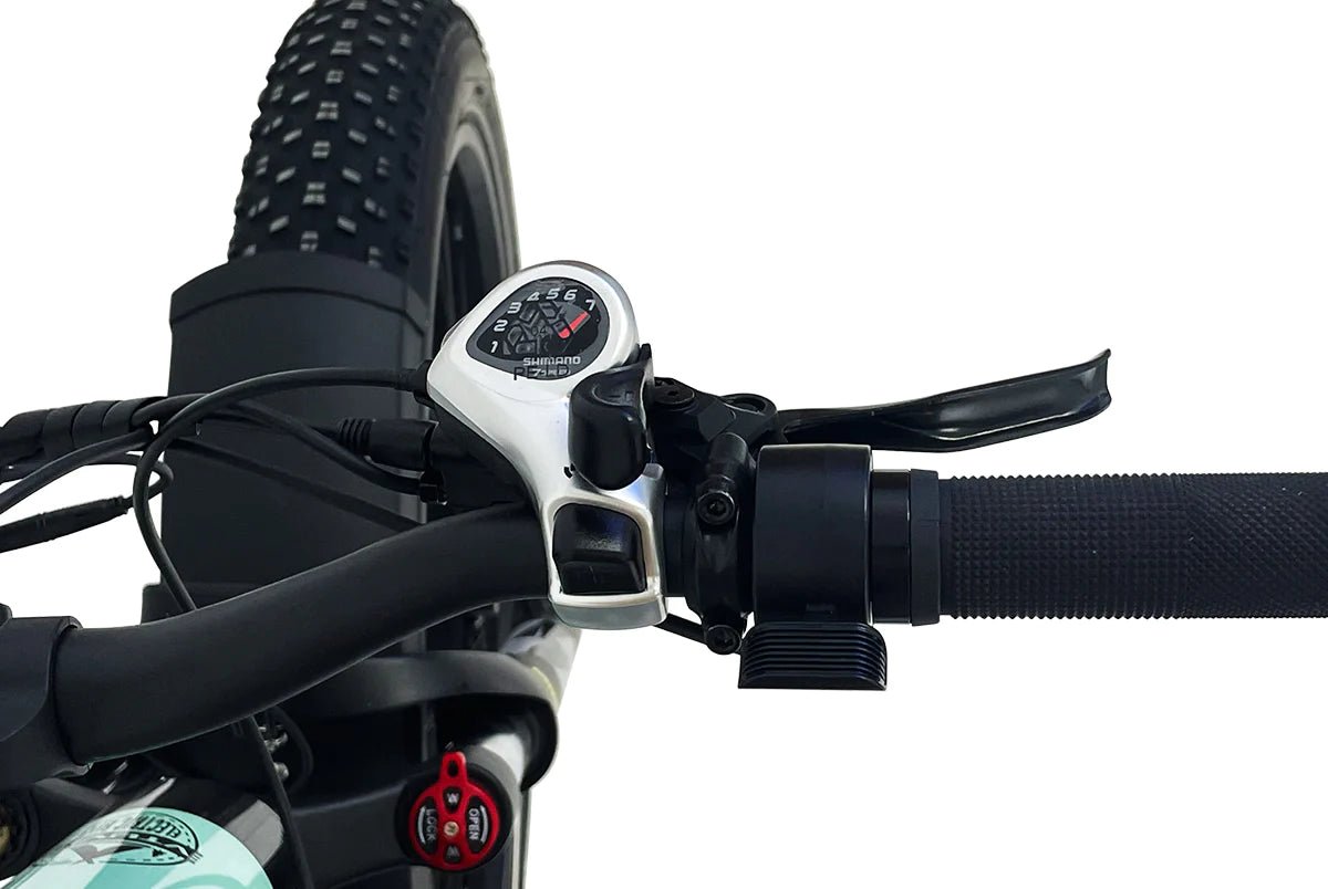 VTUVIA Gemini 26 Inch Fat Tire Electric Bike Total Body Experts