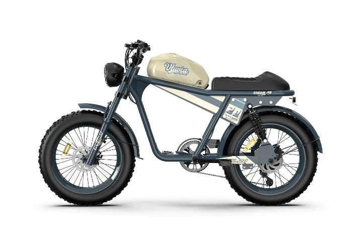 tiger electric bicycle QIOLOR Tiger Long Range Moped-Style E-Bike