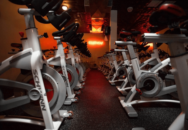 Schwinn A.C. Performance w Chain Drive Certified Pre Owned